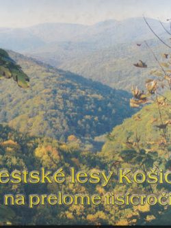 MESTSKÉ LESY KOŠICE NA PRELOME TISÍCROČÍ