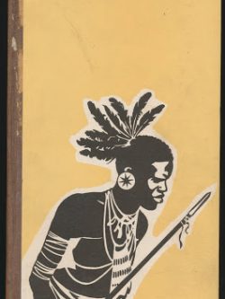 CESTY EMILA HOLUBA PO JUŽNEJ AFRIKE