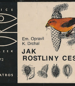 JAK ROSTLINY CESTUJÍ