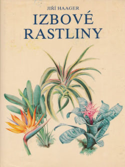 IZBOVÉ RASTLINY