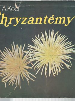 CHRYZANTÉMY A PESTOVANÉ KRÁLIKY