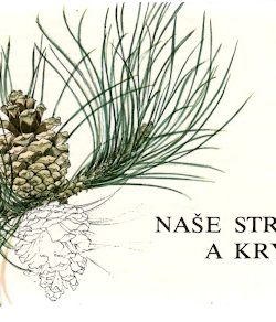 NAŠE STROMY A KRY