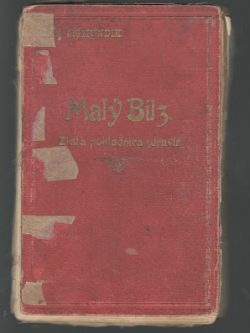 MALÝ BILZ