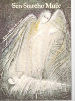 SEN STARÉHO MUŽE