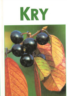 KRY