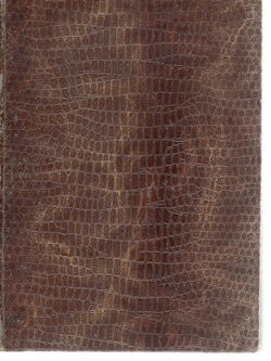 KANDIDÁT ŠÍLENSTVÍ