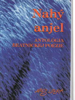 NAHÝ ANJEL
