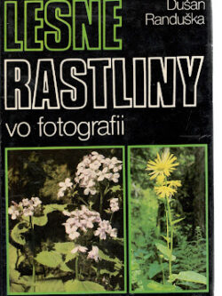 LESNÉ RASTLINY VO FOTOGRAFII
