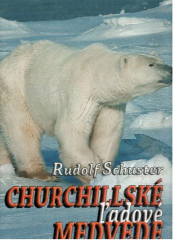 CHURCHILLSKÉ ĽADOVÉ MEDVEDE
