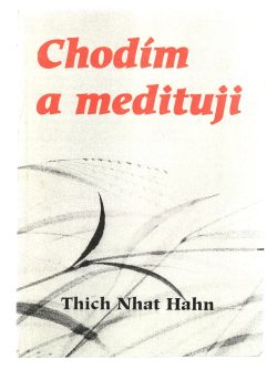 CHODÍM A MEDITUJI