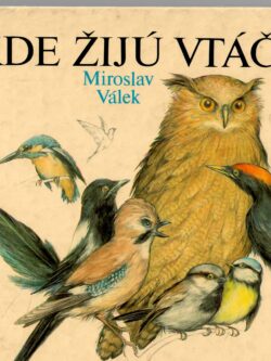 KDE ŽIJÚ VTÁČKY