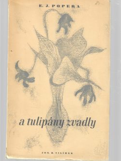 A TULIPÁNY ZVADLY