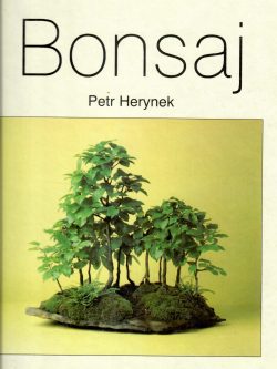 BONSAJ