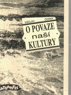 O POVAZE NAŠÍ KULTURY