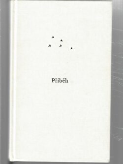 HEJNO BEZ PTÁKŮ - PŘÍBĚH (podpis autora)