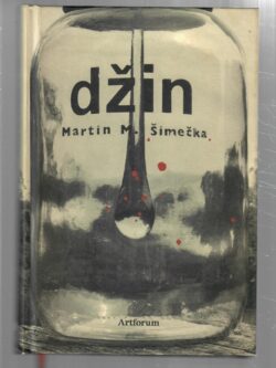 DŽIN