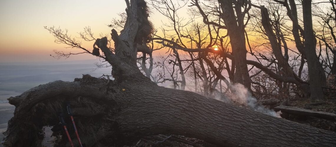 WhatsApp Image 2026-03-16 at 06.40.07